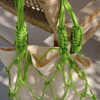 the market bag | limette - imagine 3